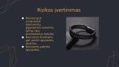 Verslo planas - apyrankės 12 puslapis
