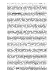 Visos pagrindinės makroekonomikos temos 2 puslapis