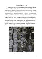 Šiuolaikinės statybos technologijos ir inovacijos bei jų įtaka ekonomikai ir ekologijai 8 puslapis