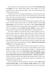 Literatūros kūrinių konspektas 3 puslapis