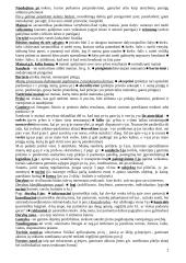 Marketingo medžiaga atsiskaitymui 2 puslapis