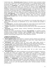 Marketingo medžiaga atsiskaitymui 13 puslapis