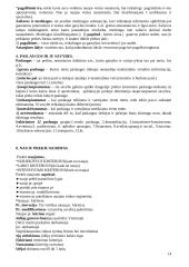 Marketingo medžiaga atsiskaitymui 14 puslapis