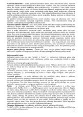 Marketingo medžiaga atsiskaitymui 17 puslapis