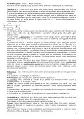 Marketingo medžiaga atsiskaitymui 4 puslapis