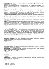 Marketingo medžiaga atsiskaitymui 5 puslapis