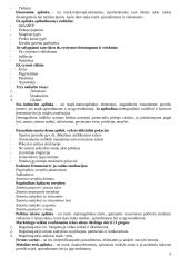 Marketingo medžiaga atsiskaitymui 6 puslapis