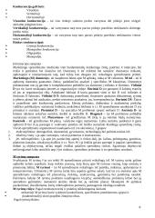 Marketingo medžiaga atsiskaitymui 8 puslapis