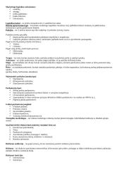 Marketingo medžiaga egzaminui 6 puslapis