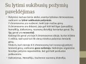 Genetika: paveldimumas 16 puslapis