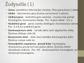 Genetika: paveldimumas 3 puslapis