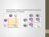 Genetika: paveldimumas 9 puslapis