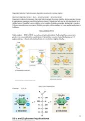 Organinės chemijos kartojimas 13 puslapis