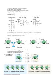 Organinės chemijos kartojimas 14 puslapis