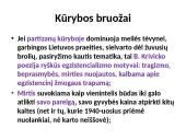 Žmogaus laikysena totalitarizmo akivaizdoje. Bronius Krivickas (1919 -1952) 8 puslapis