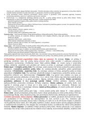 Marketingo pasiruošimas atsiskaitymui 12 puslapis