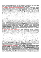 Marketingo pasiruošimas atsiskaitymui 13 puslapis