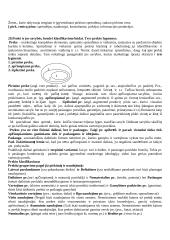 Marketingo pasiruošimas atsiskaitymui 15 puslapis