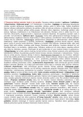 Marketingo pasiruošimas atsiskaitymui 10 puslapis