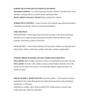 Marketingo temos atsiskaitymui 3 puslapis