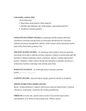 Marketingo temos atsiskaitymui 4 puslapis