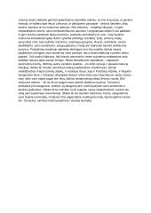 Apie lietuvių tautą