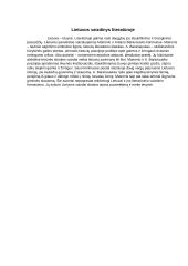 Lietuvos vaizdinys literatūroje (Maironis, Baranauskas)