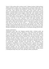 Juozas Tumas-Vaižgantas bei jo kūryba 9 puslapis