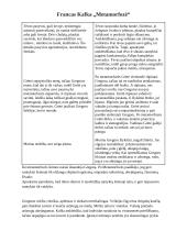 Francas Kafka ir "Metaformozė" 3 puslapis