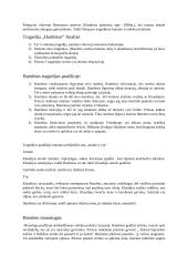 Viljamas Šekspyras ir Hamletas 2 puslapis