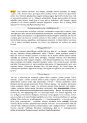 Balys Sruoga bei jo kūryba 4 puslapis