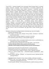 Vincas Krėvė bei jo kūryba 2 puslapis