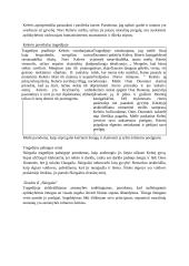 Vincas Krėvė bei jo kūryba 11 puslapis