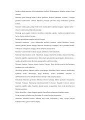 Maironis bei jo kūryba 2 puslapis