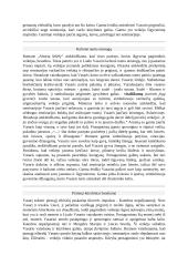 Vincas Mykolaitis - Putinas (biografija ir kūryba) 12 puslapis