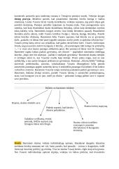 Vincas Mykolaitis - Putinas (biografija ir kūryba) 17 puslapis