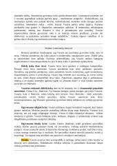 Vincas Mykolaitis - Putinas (biografija ir kūryba) 4 puslapis