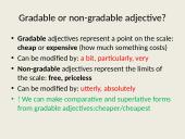 Gradable and non-gradable adjectives in travel blogs 2 puslapis
