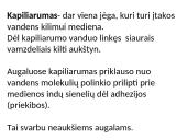 Augalų stiebai. Medžiagų pernaša stiebais  12 puslapis