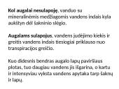 Augalų stiebai. Medžiagų pernaša stiebais  15 puslapis