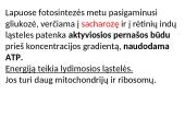 Augalų stiebai. Medžiagų pernaša stiebais  16 puslapis