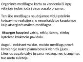 Augalų stiebai. Medžiagų pernaša stiebais  19 puslapis