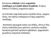 Augalų stiebai. Medžiagų pernaša stiebais  20 puslapis