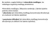 Augalų šaknys. Medžiagų pernaša šaknimis  17 puslapis