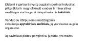 Augalų šaknys. Medžiagų pernaša šaknimis  3 puslapis