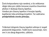 Dujų apykaitos procesas 12 puslapis