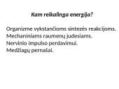 Dujų apykaitos procesas 3 puslapis