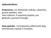 Dujų apykaitos procesas 4 puslapis