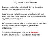 Dujų apykaitos procesas 9 puslapis