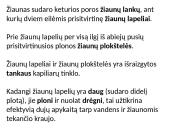 Dujų apykaitos procesas 10 puslapis